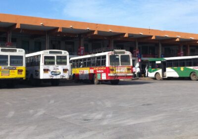 Princess Rta Services