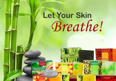 Herbal Life International India Pvt Ltd