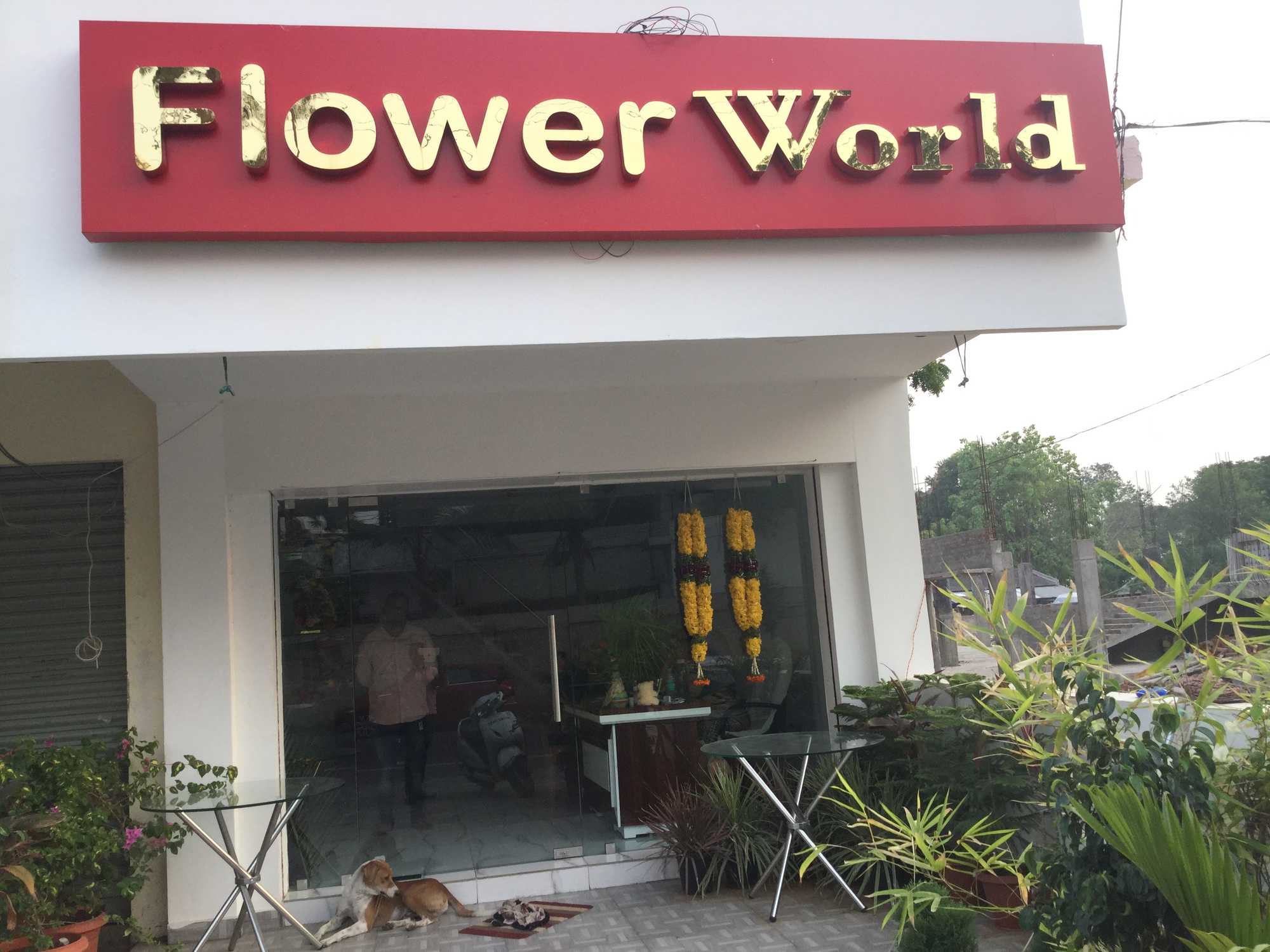 Flower World
