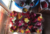 Sri Flowers Paradise