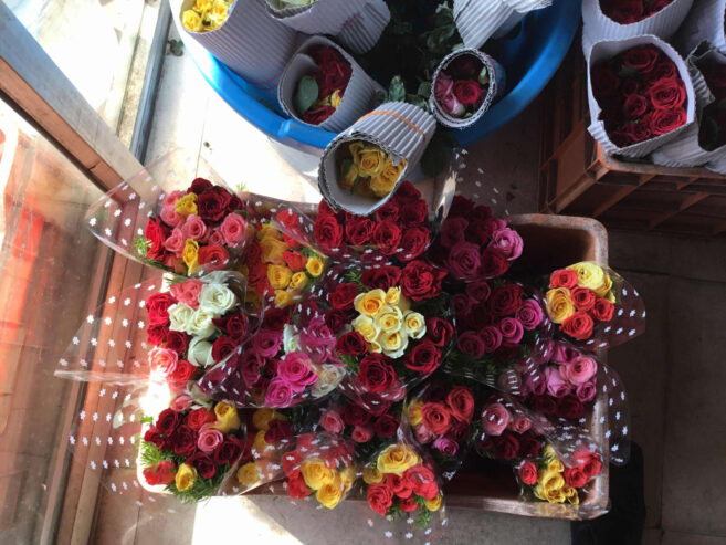 Sri Flowers Paradise