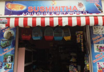 Sushmitha Aquarium & Pet World