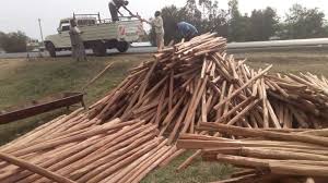 Hari Om Timbers & Saw Mill