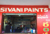 Sivani paints