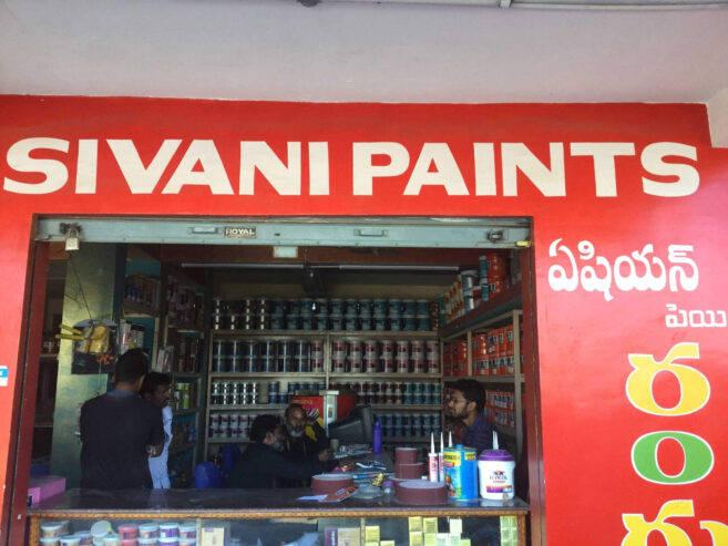 Sivani paints