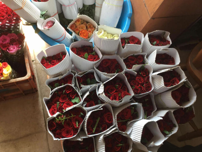 Sri Flowers Paradise