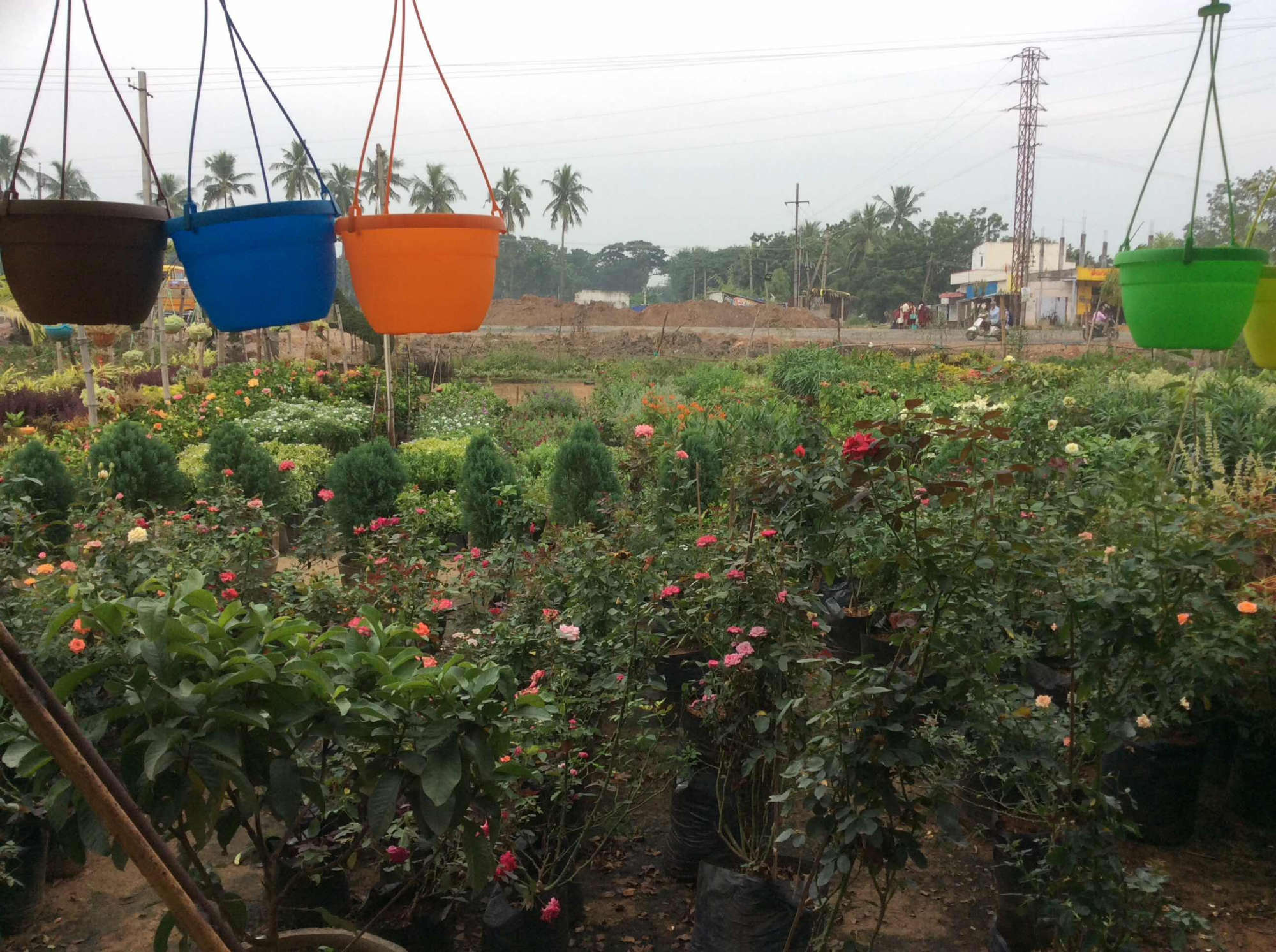 Nandanavanam Nursury