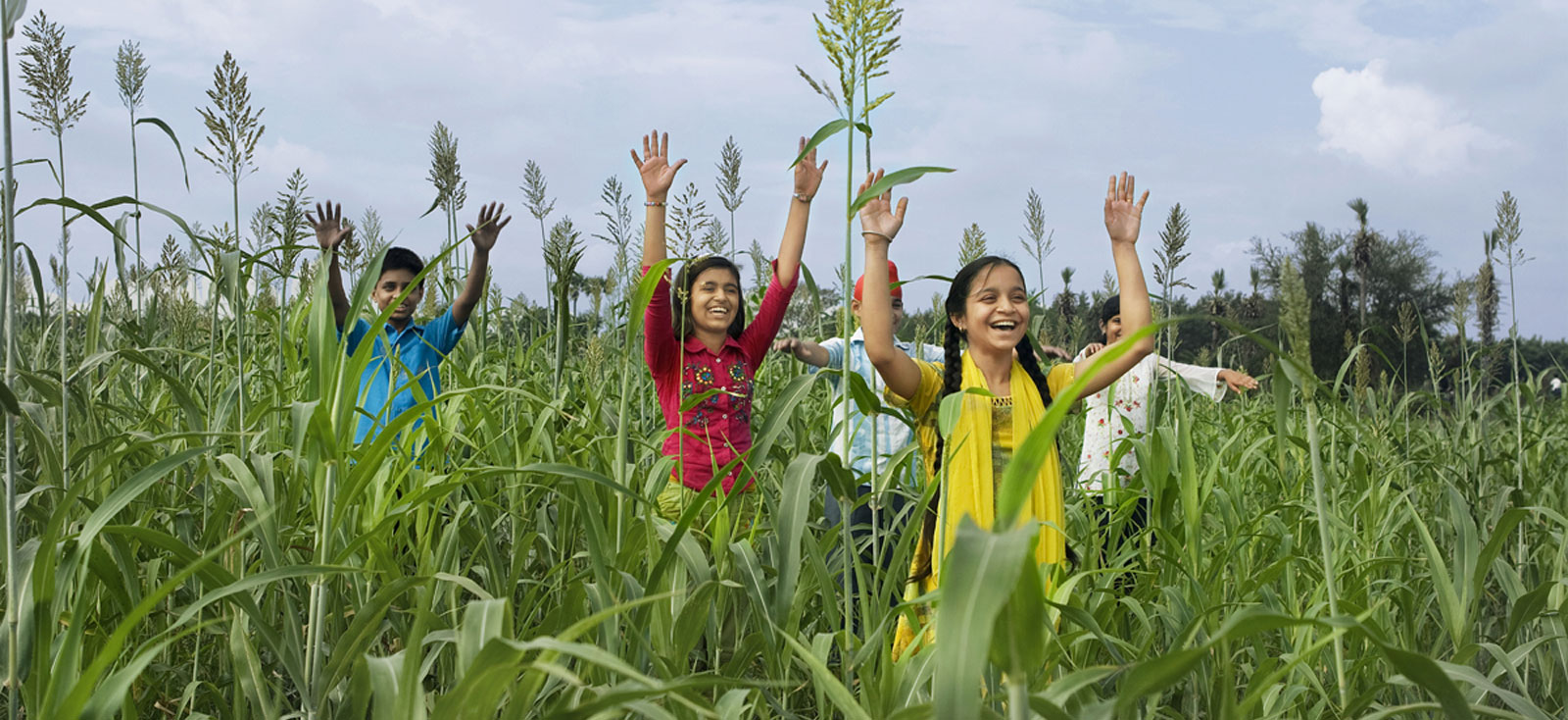 Tiny Tots Pre School & Day Care