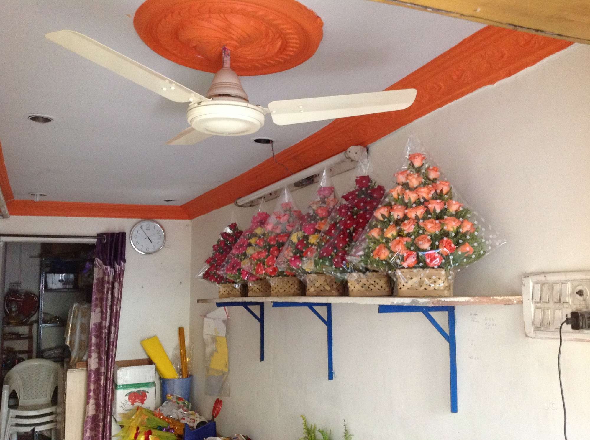 Blossoms Flower Land