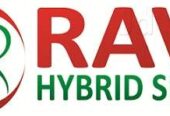 Ravi Hybrid Seeds Private Limited
