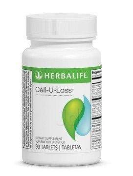 Wellness Industry