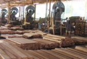 Vijaya Wood & Furniture Works