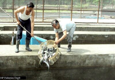 Kab Hatcheries Maruthinagar