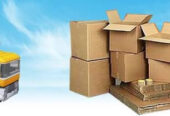 Apple Packers And Movers