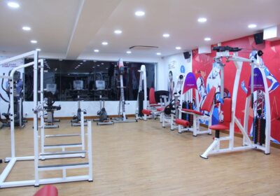 V Muscle And Fitness