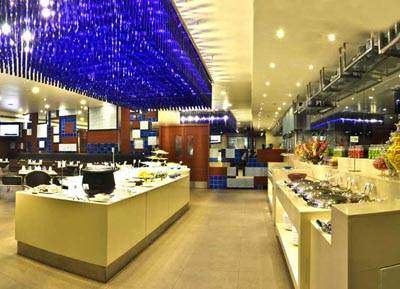 Quality Hotel D V Manor