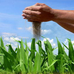 Cheviti Venkateswarlu