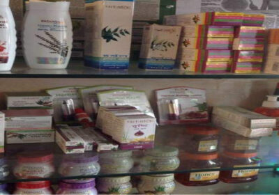 Shapewell Nutrition Center