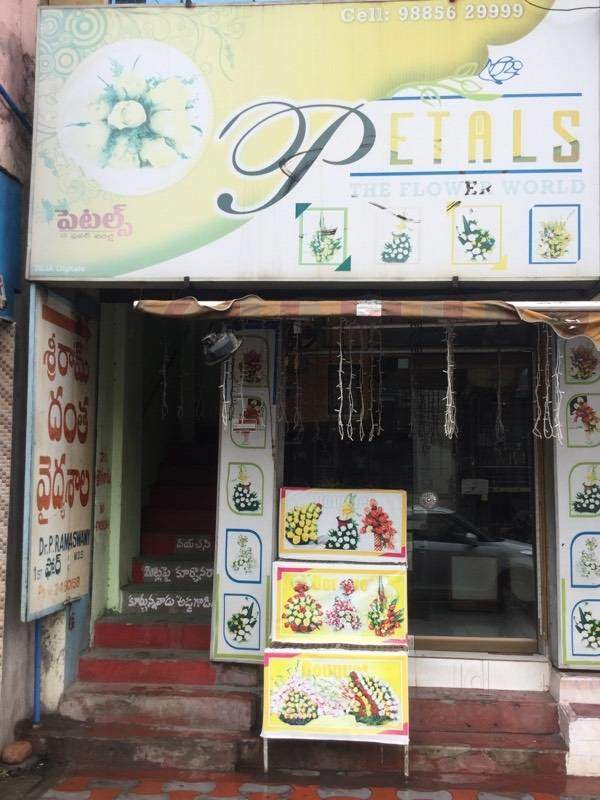 Petals The Flower World