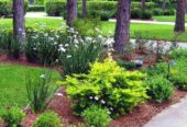Karshak Bio Plantech And Landscapers