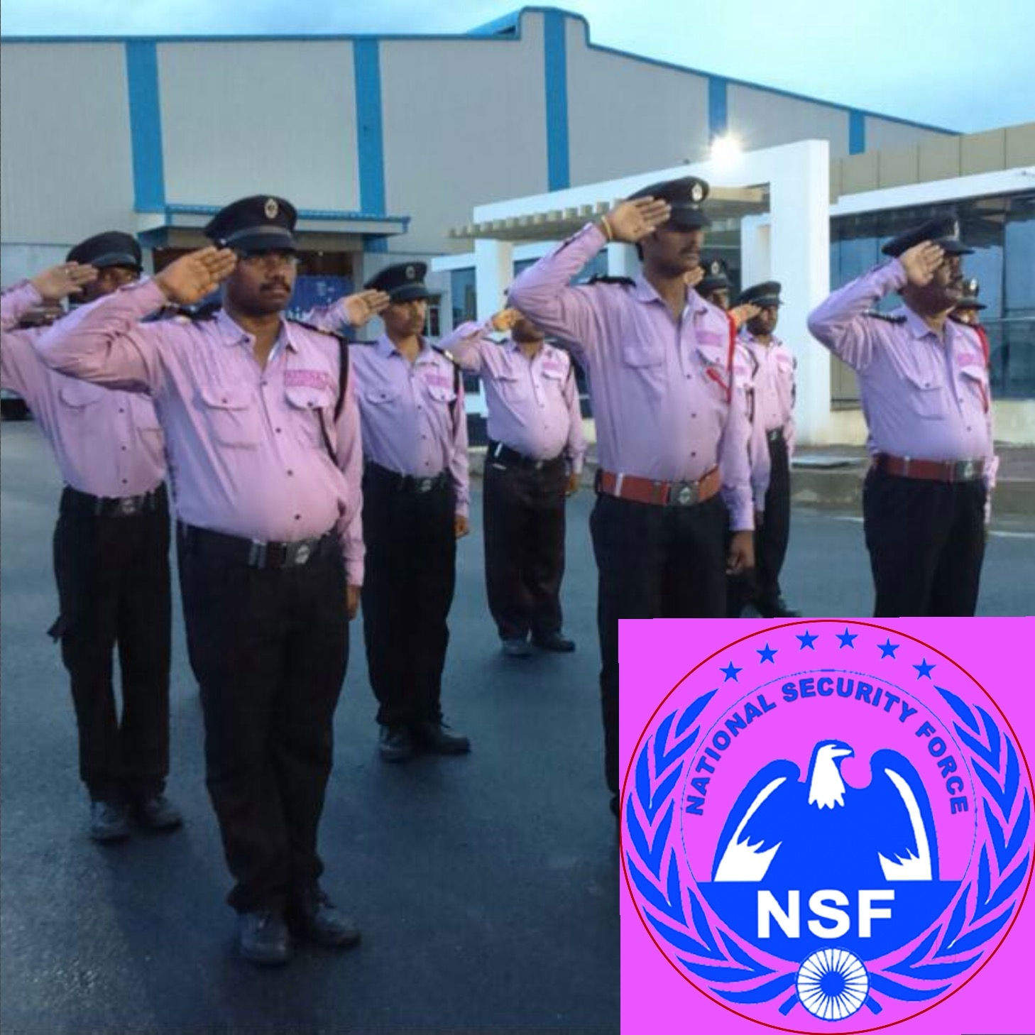 National Security Force