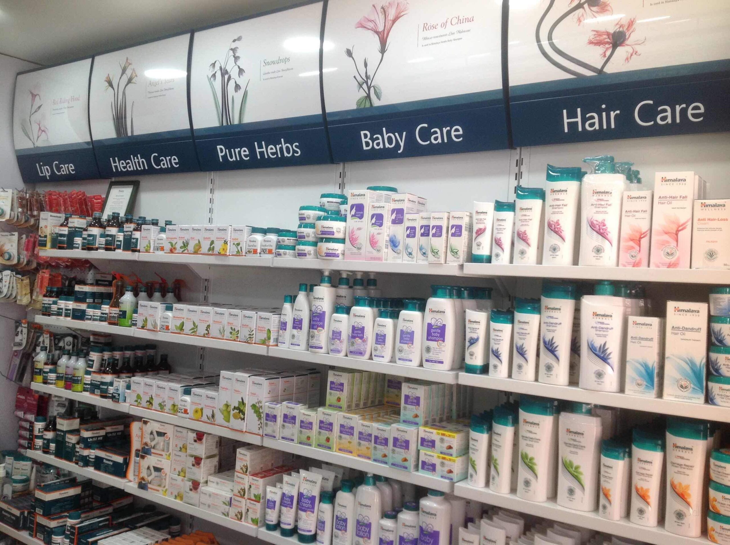 Brinda Herbals Black Henna