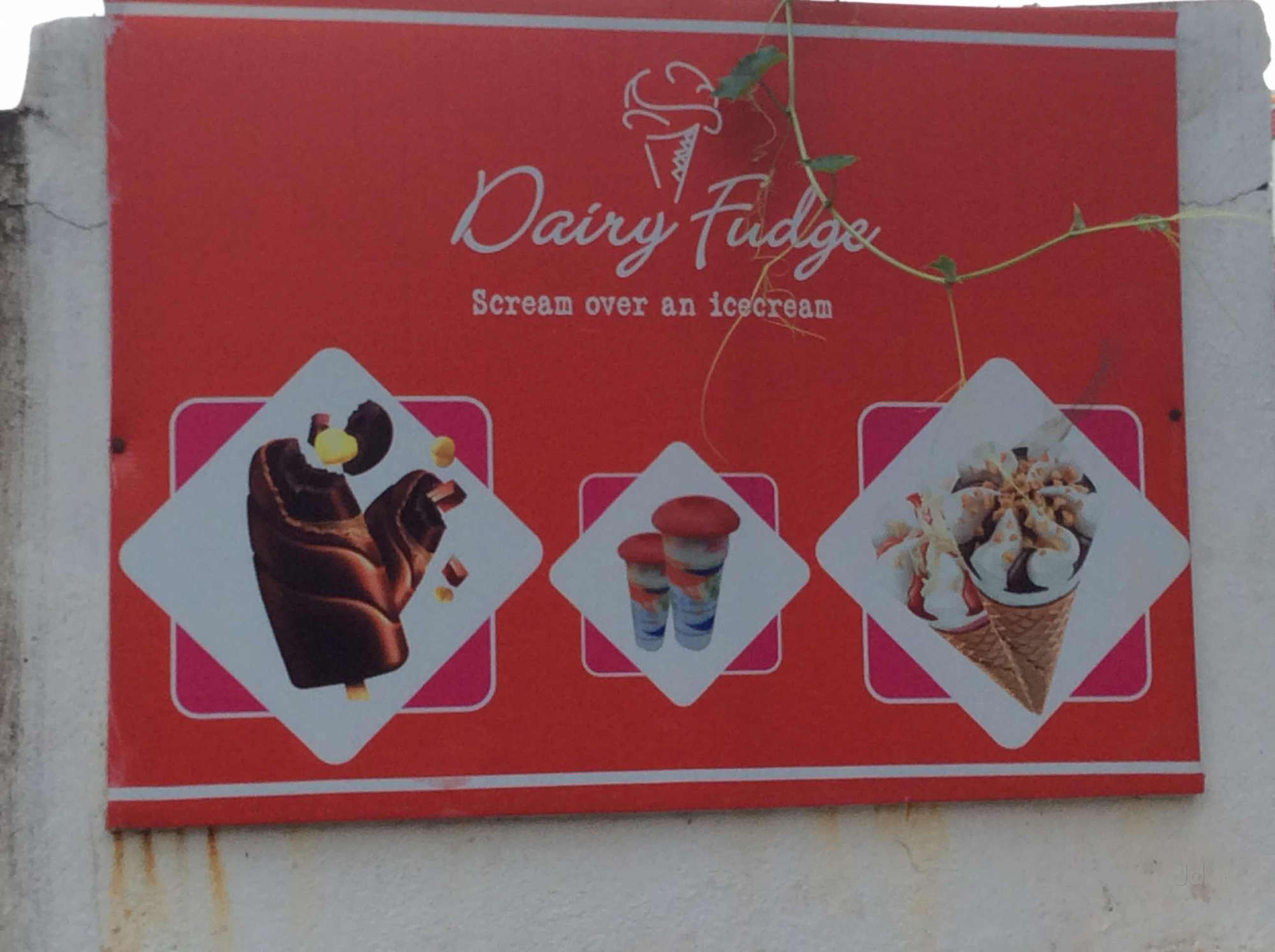 Dairy Fudge Icecream