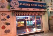 Marine Aqua World