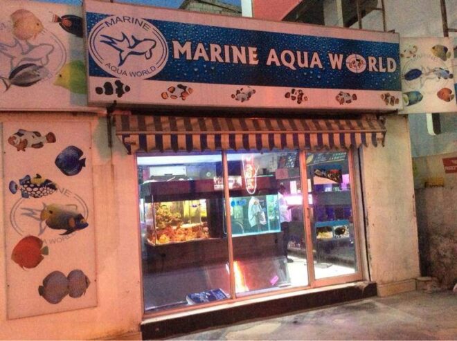 Marine Aqua World