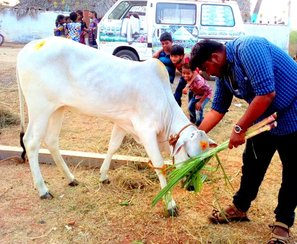 Balaji Poultry & Cattle Feeds Ltd Autonagar