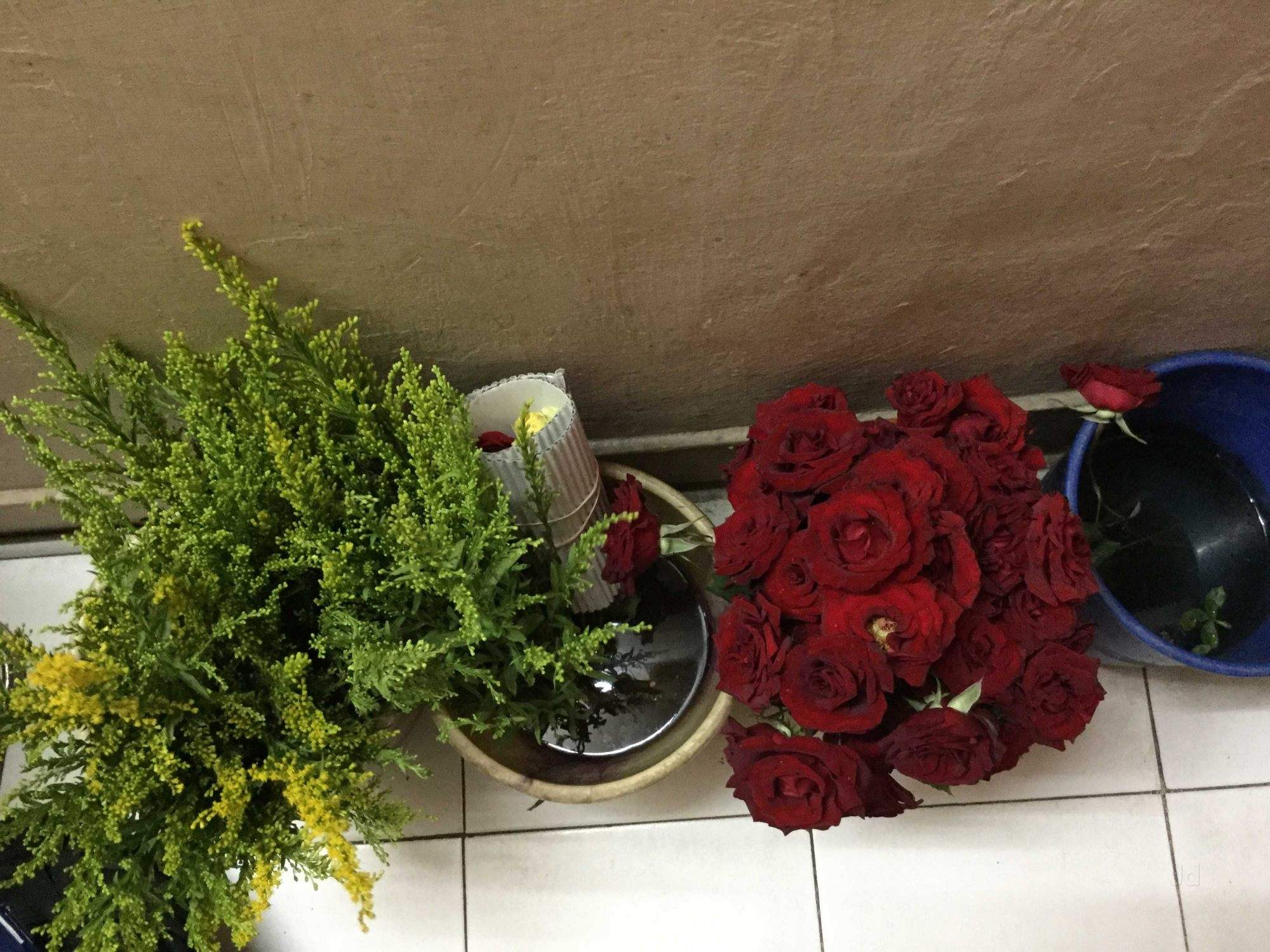 Sri Baba Flower Land