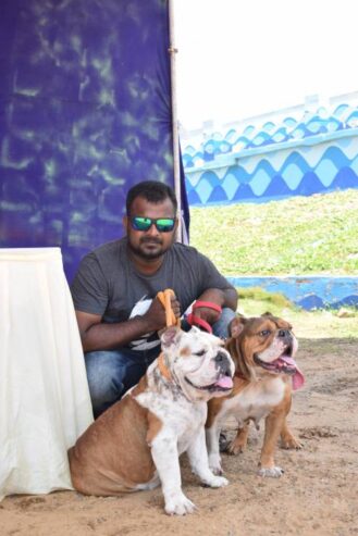 ANAND PETS