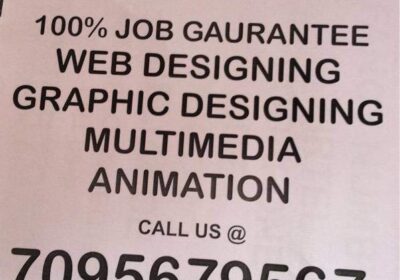 Web Designing And Training