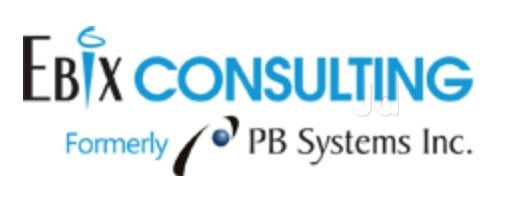 Pb Systems India Pvt Ltd