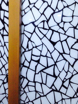 Bhagavati Glasses And Plylam