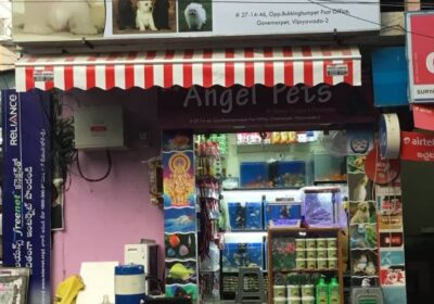 Angel Pets