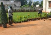 Amaravathi Lawn Gardening & Landscaping Services | Phone number 9494478844