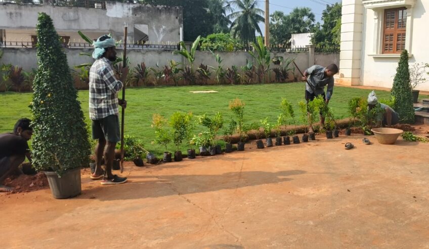 Amaravathi Lawn Gardening & Landscaping Services | Phone number 9494478844