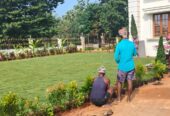 Amaravathi Lawn Gardening & Landscaping Services | Phone number 9494478844