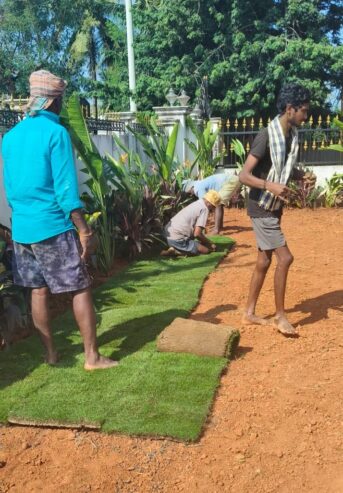 Amaravathi Lawn Gardening & Landscaping Services | Phone number 9494478844