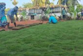 Amaravathi Lawn Gardening & Landscaping Services | Phone number 9494478844