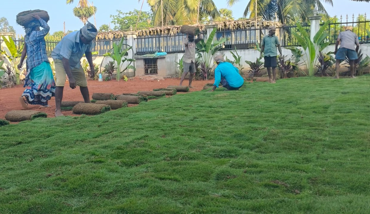 Amaravathi Lawn Gardening & Landscaping Services | Phone number 9494478844