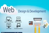 Custom Website Development Company | Affordable & Reliable