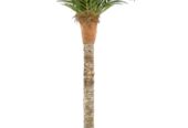 Shweta Enterprise – Artificial Plants & Grass