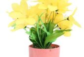 Shweta Enterprise – Artificial Plants & Grass
